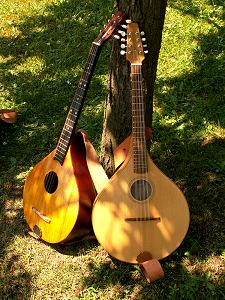 cistry (cittern)